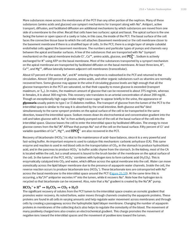 Anatomy and Physiology 2e - New Page