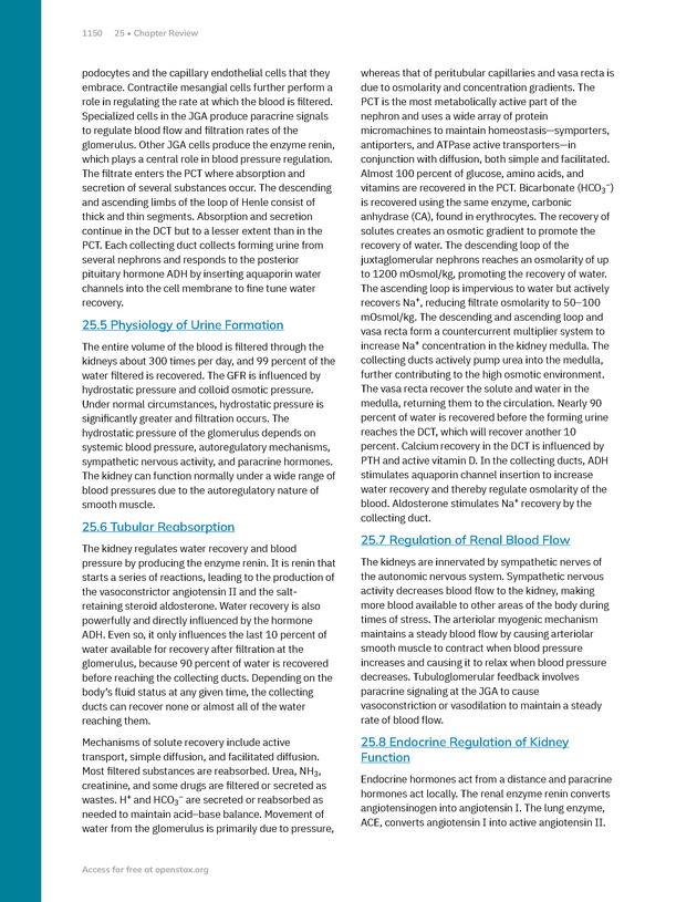 Anatomy and Physiology 2e - New Page
