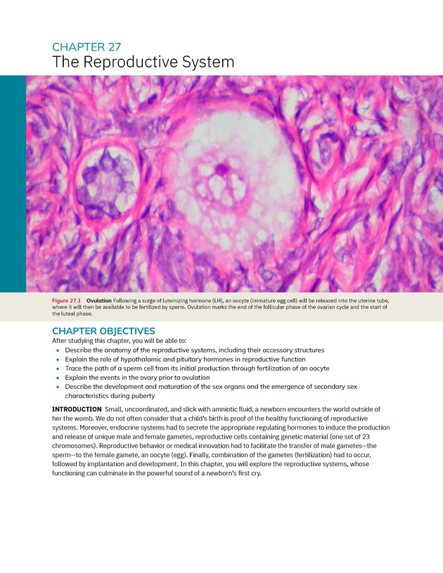 Anatomy and Physiology 2e - New Page
