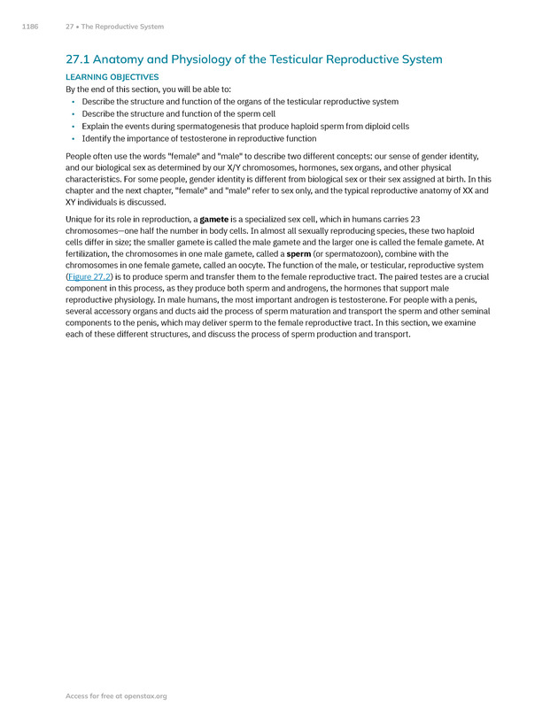 Anatomy and Physiology 2e - New Page