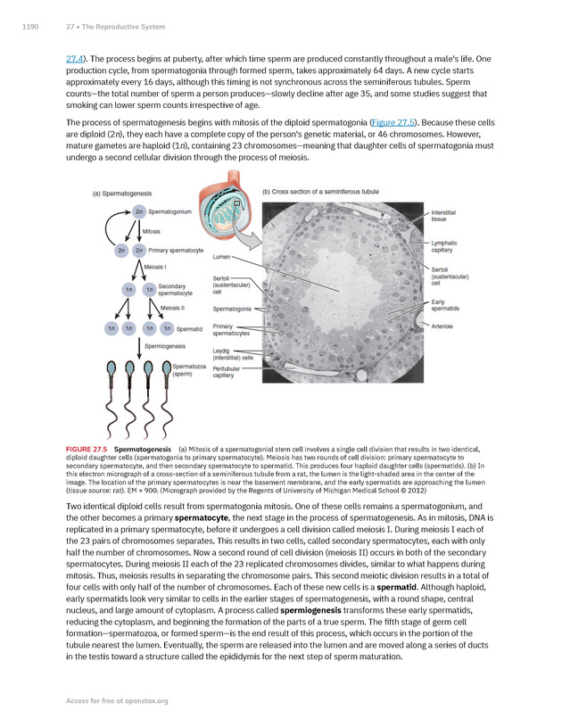 Anatomy and Physiology 2e - New Page