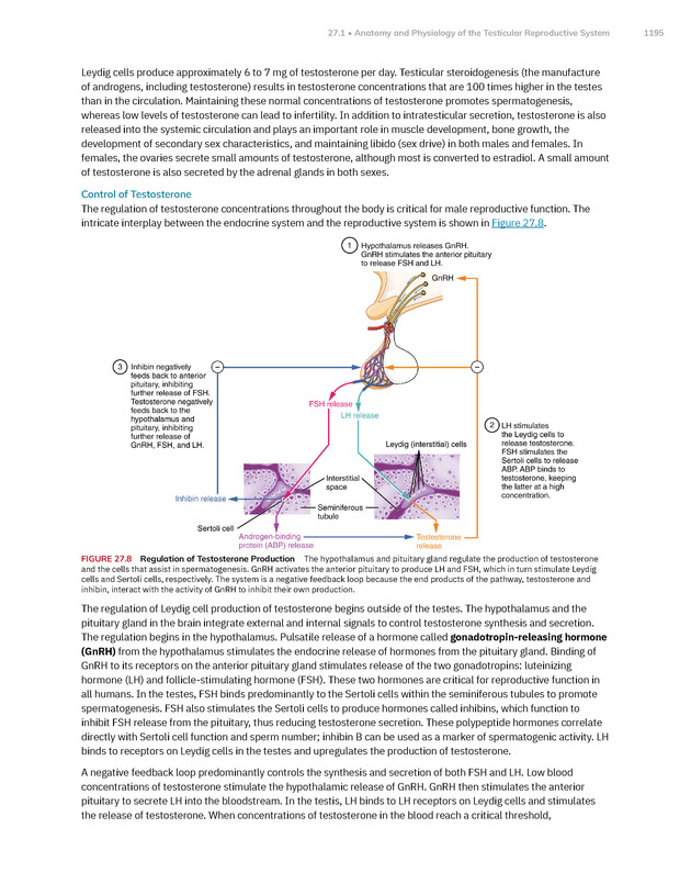 Anatomy and Physiology 2e - New Page