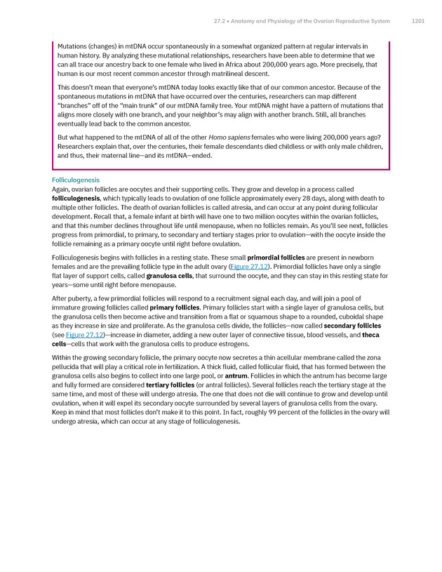 Anatomy and Physiology 2e - New Page