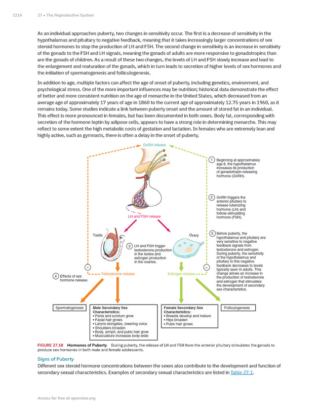 Anatomy and Physiology 2e - New Page
