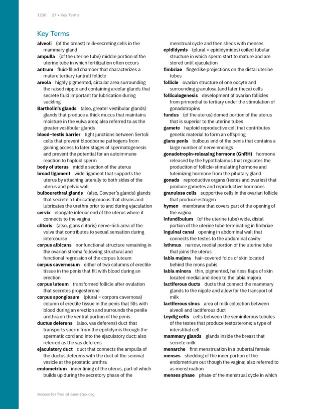 Anatomy and Physiology 2e - New Page
