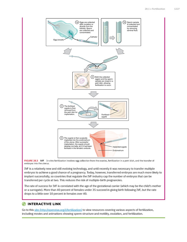 Anatomy and Physiology 2e - New Page