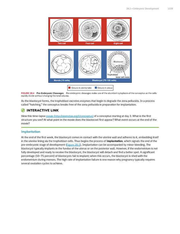 Anatomy and Physiology 2e - New Page