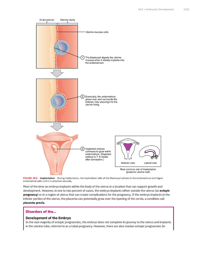 Anatomy and Physiology 2e - New Page