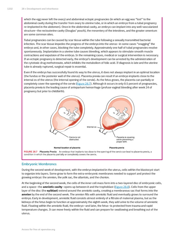 Anatomy and Physiology 2e - New Page