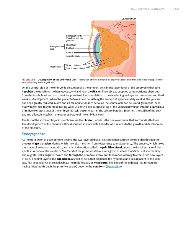 Anatomy and Physiology 2e - New Page