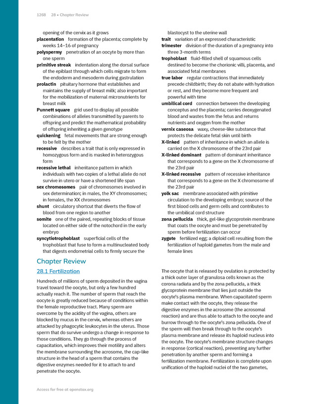 Anatomy and Physiology 2e - New Page