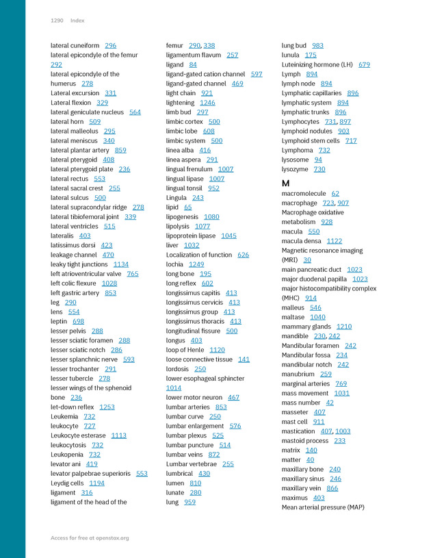 Anatomy and Physiology 2e - New Page