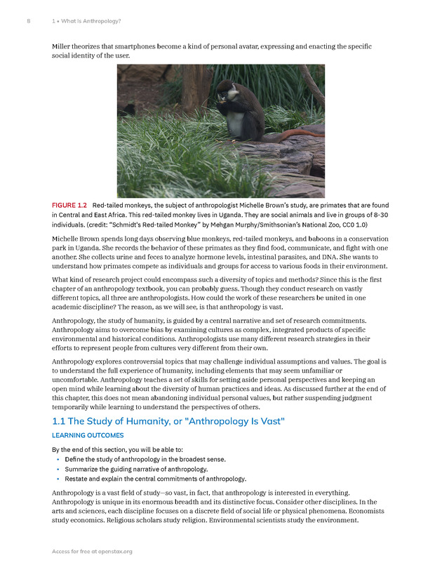 Introduction to Anthropology - New Page
