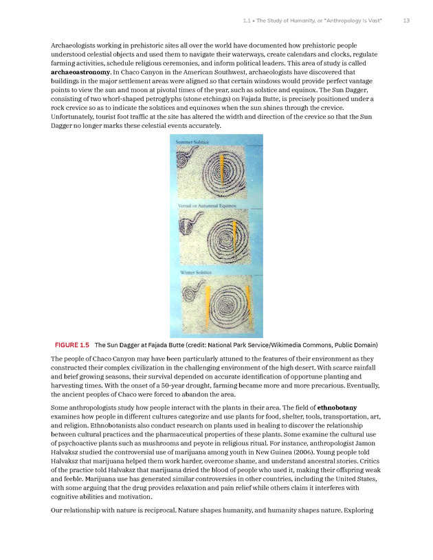Introduction to Anthropology - New Page