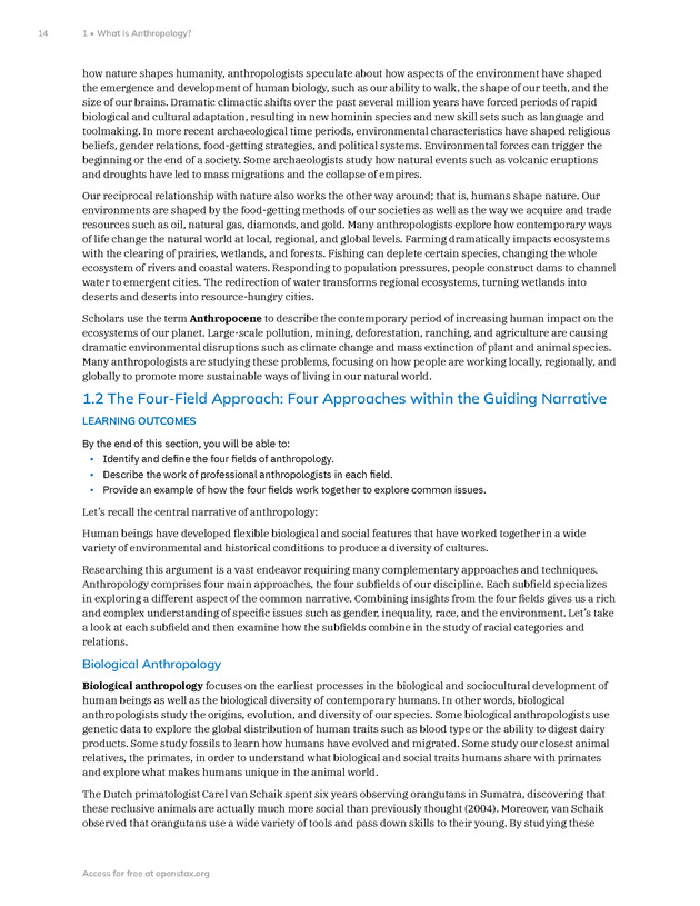 Introduction to Anthropology - New Page