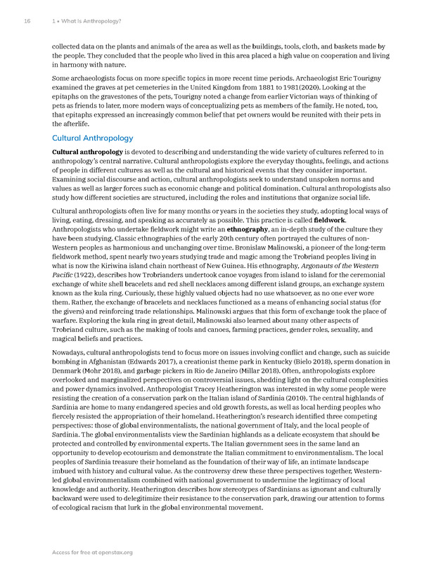 Introduction to Anthropology - New Page