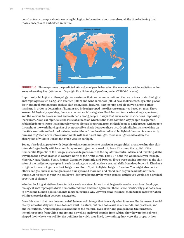 Introduction to Anthropology - New Page