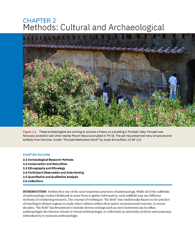 Introduction to Anthropology - New Page