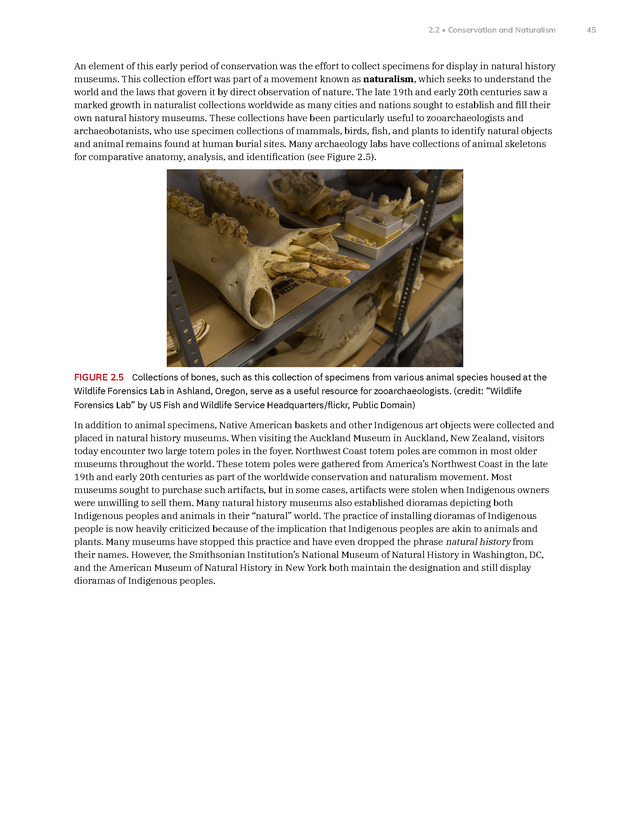 Introduction to Anthropology - New Page