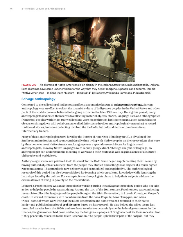 Introduction to Anthropology - New Page