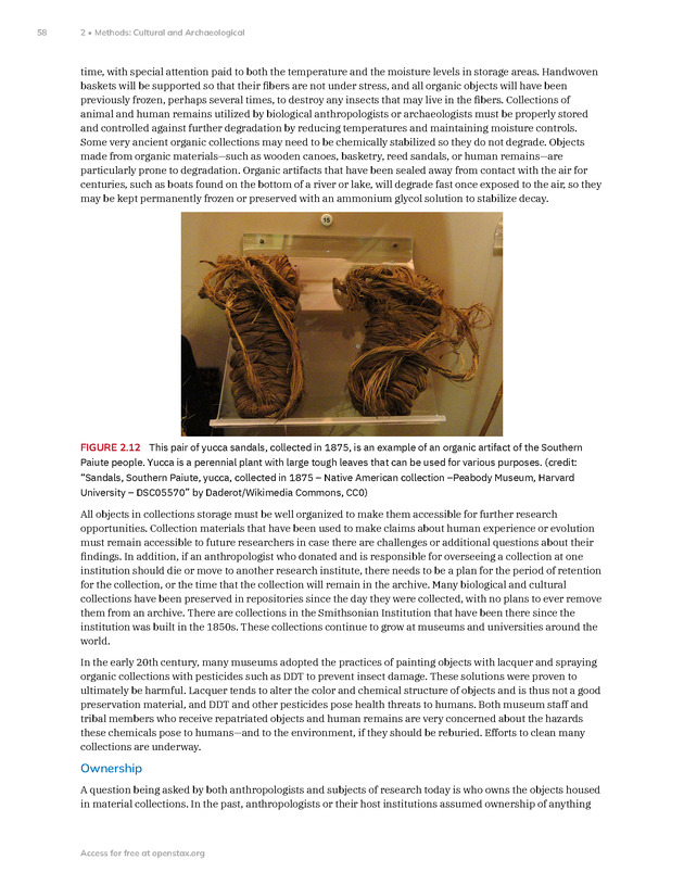 Introduction to Anthropology - New Page