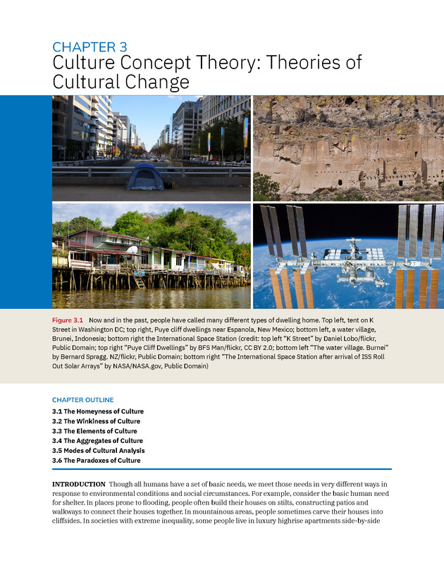 Introduction to Anthropology - New Page