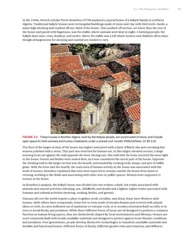 Introduction to Anthropology - New Page