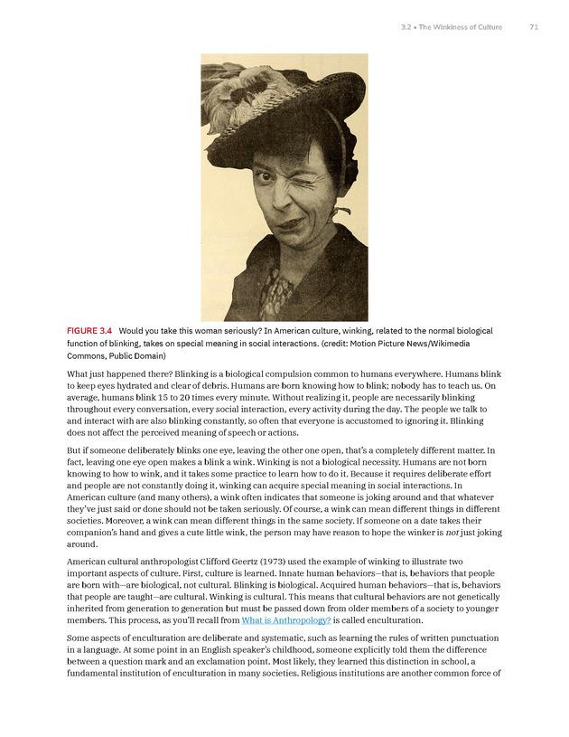 Introduction to Anthropology - New Page