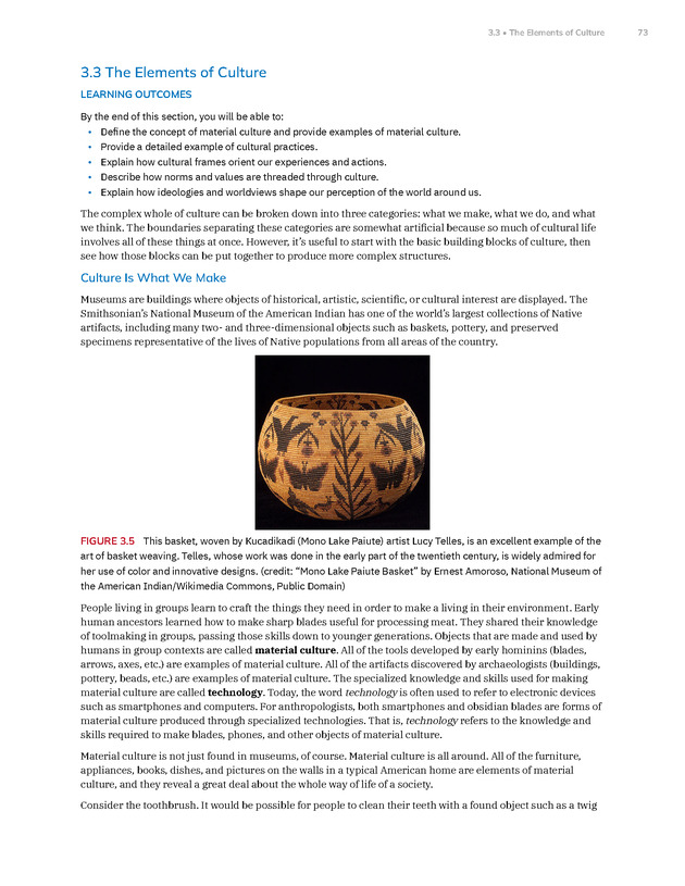 Introduction to Anthropology - New Page