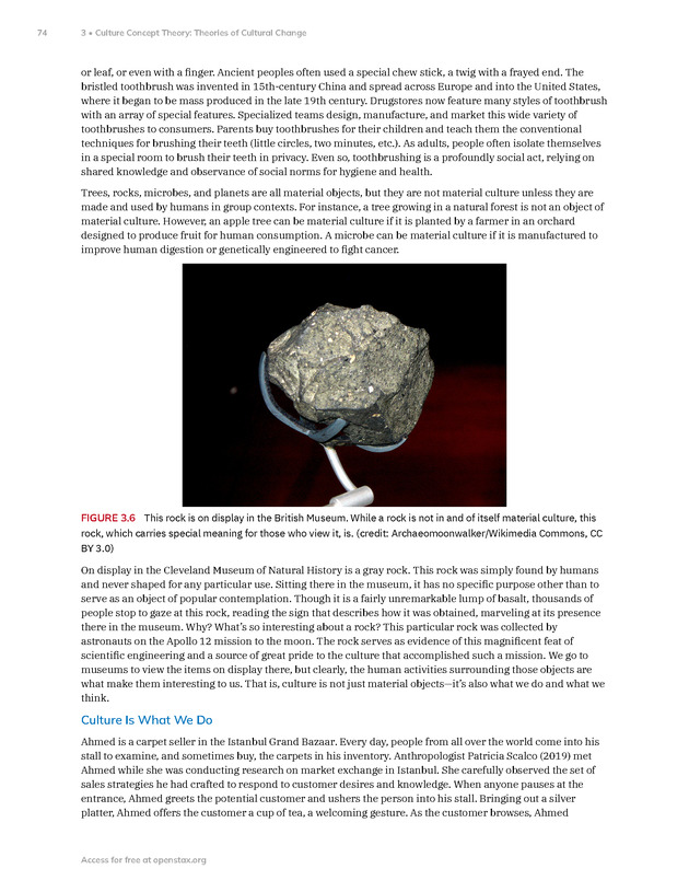Introduction to Anthropology - New Page