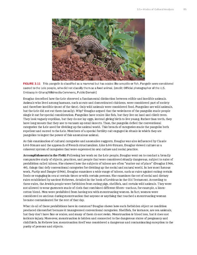 Introduction to Anthropology - New Page
