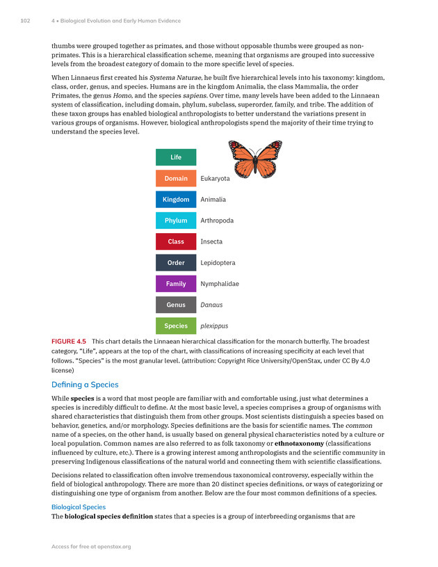 Introduction to Anthropology - New Page