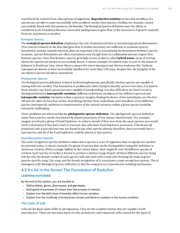 Introduction to Anthropology - New Page
