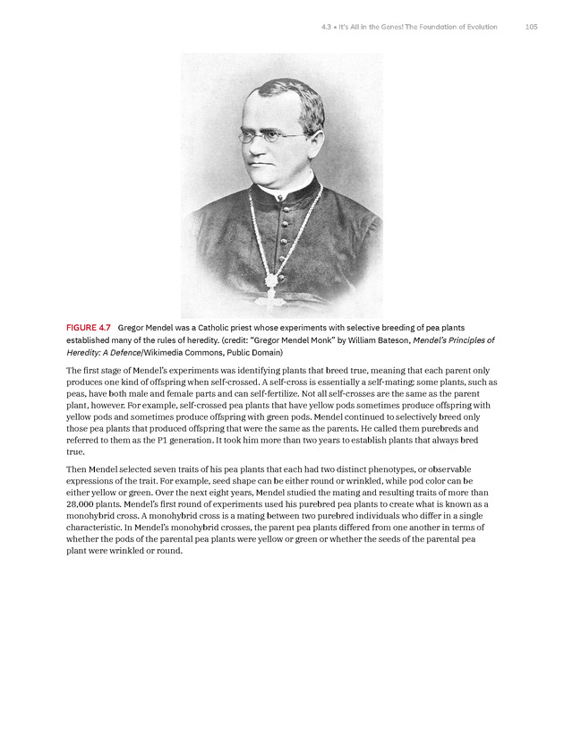 Introduction to Anthropology - New Page