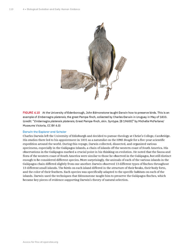 Introduction to Anthropology - New Page