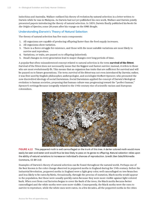 Introduction to Anthropology - New Page