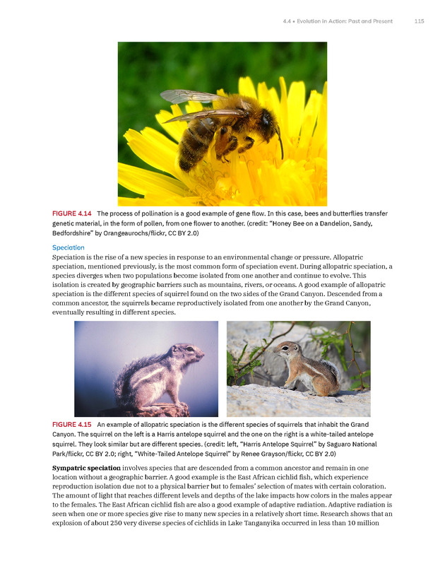Introduction to Anthropology - New Page