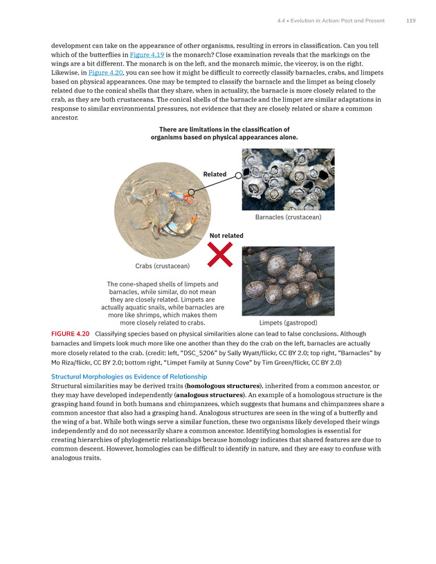 Introduction to Anthropology - New Page