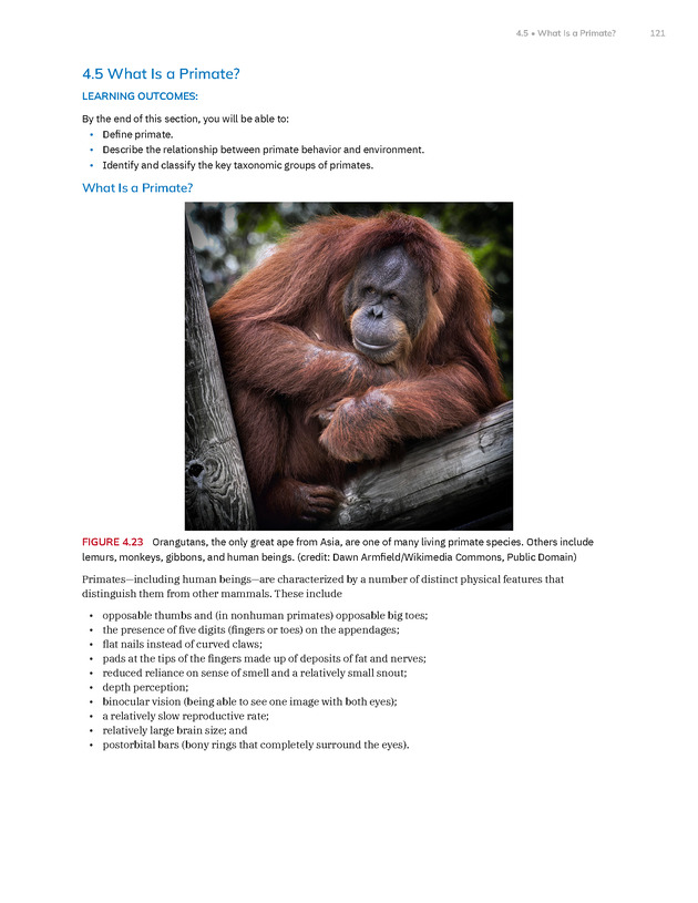 Introduction to Anthropology - New Page