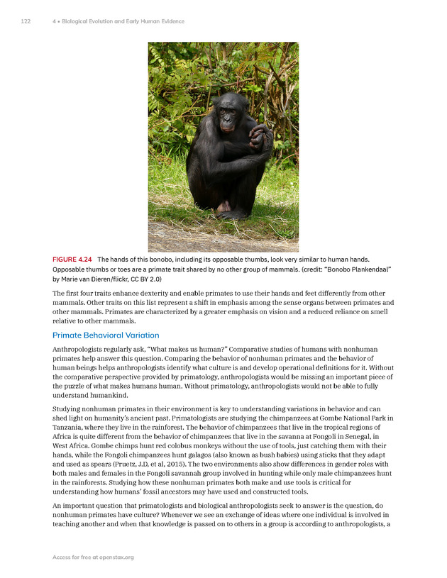 Introduction to Anthropology - New Page