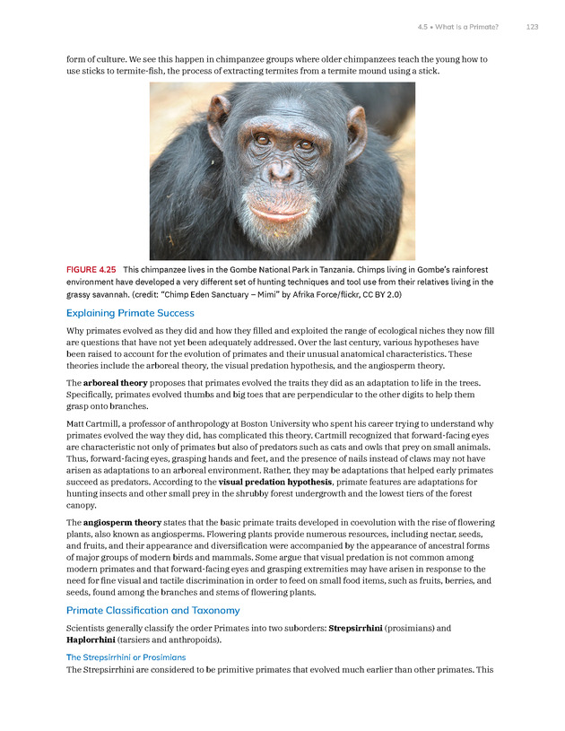 Introduction to Anthropology - New Page