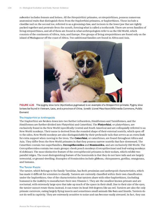 Introduction to Anthropology - New Page