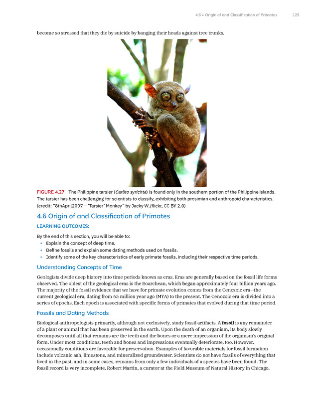 Introduction to Anthropology - New Page
