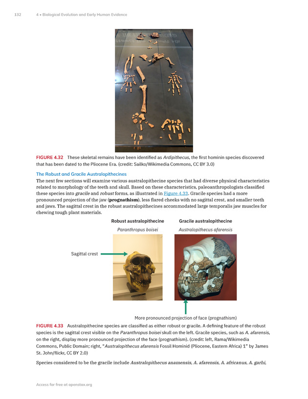 Introduction to Anthropology - New Page