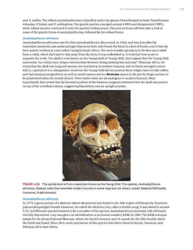 Introduction to Anthropology - New Page