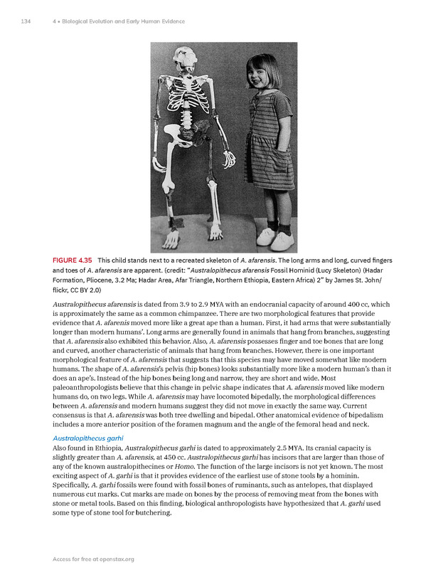 Introduction to Anthropology - New Page