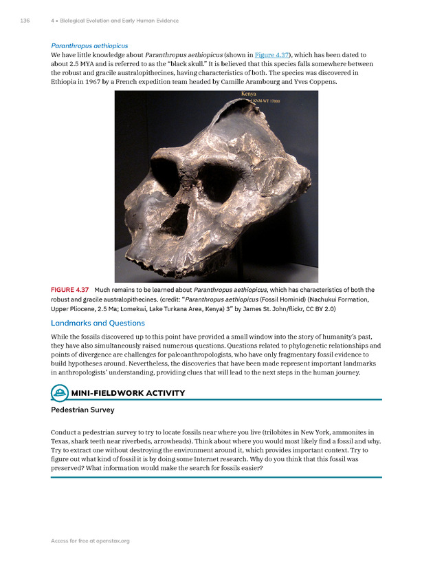 Introduction to Anthropology - New Page