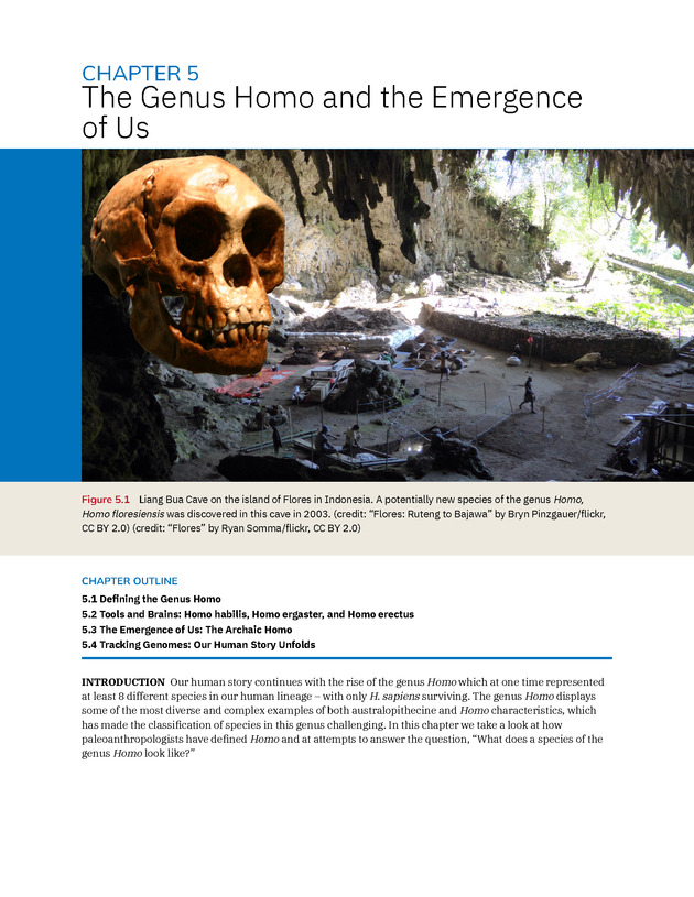 Introduction to Anthropology - New Page