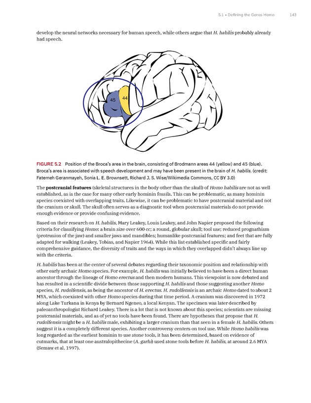 Introduction to Anthropology - New Page