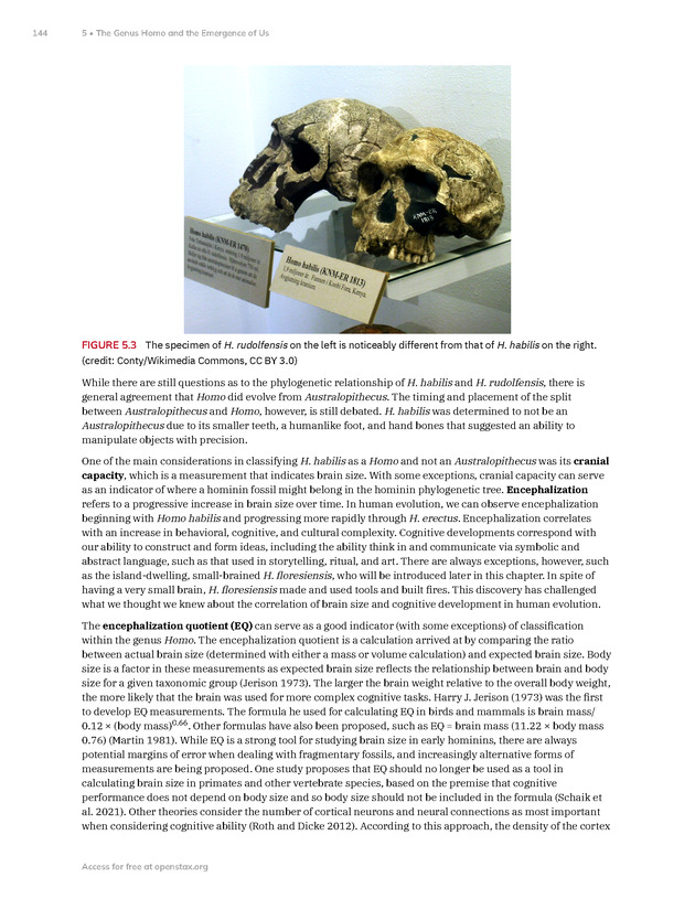 Introduction to Anthropology - New Page